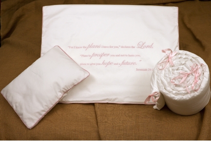 Jeremiah 29:11 Pink
